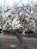 06_03_22_11_39.jpg