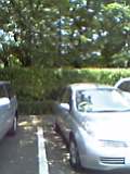 06_07_04_11_57.jpg