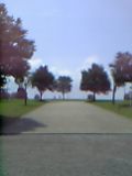 06_07_04_12_20.jpg